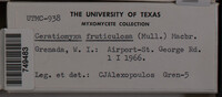 Image Associated With the Occurrence